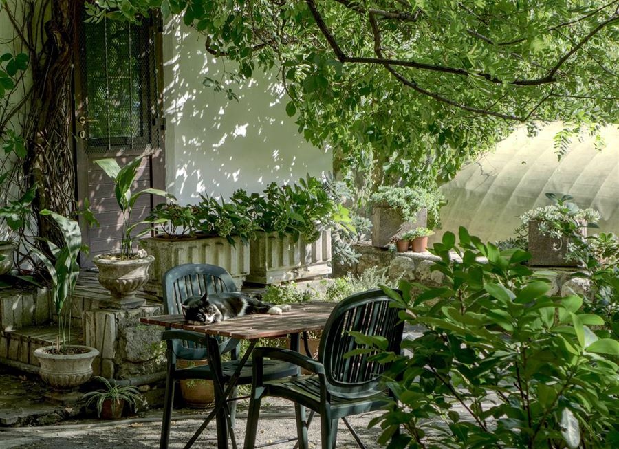 How to style and find inspiration for your garden